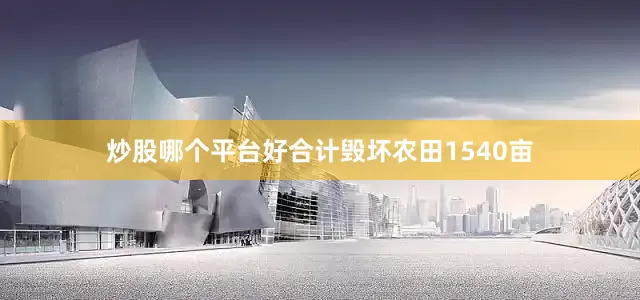 炒股哪个平台好合计毁坏农田1540亩